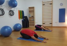 Fizjoterapia Zdrowe Plecy 1 235x160